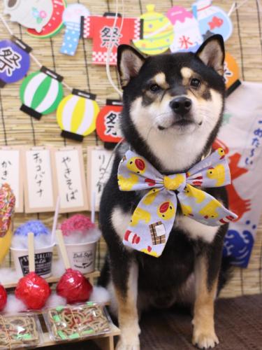 20240707ココくん